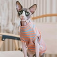 thumbnail image 5 of Sphynx Cat Clothes Striped Cat T-Shirt Stretchy Cat Sweater Apparel,M,Orange, 5 of 6