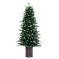 thumbnail image 1 of 6' x 39" Potted Spruce Dura-Lit 200WW, 1 of 1