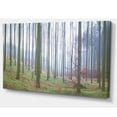 thumbnail image 2 of Autumn Tree Trunks Panorama - Oversized Forest Canvas Artwork, 2 of 3