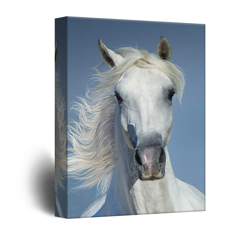 Wall26 Canvas Wall Art White Horse Portrait Giclee Print Gallery