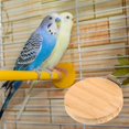 thumbnail image 3 of Small Pet Cage – Hamster , Parrot for & Squirrel, 3 of 3