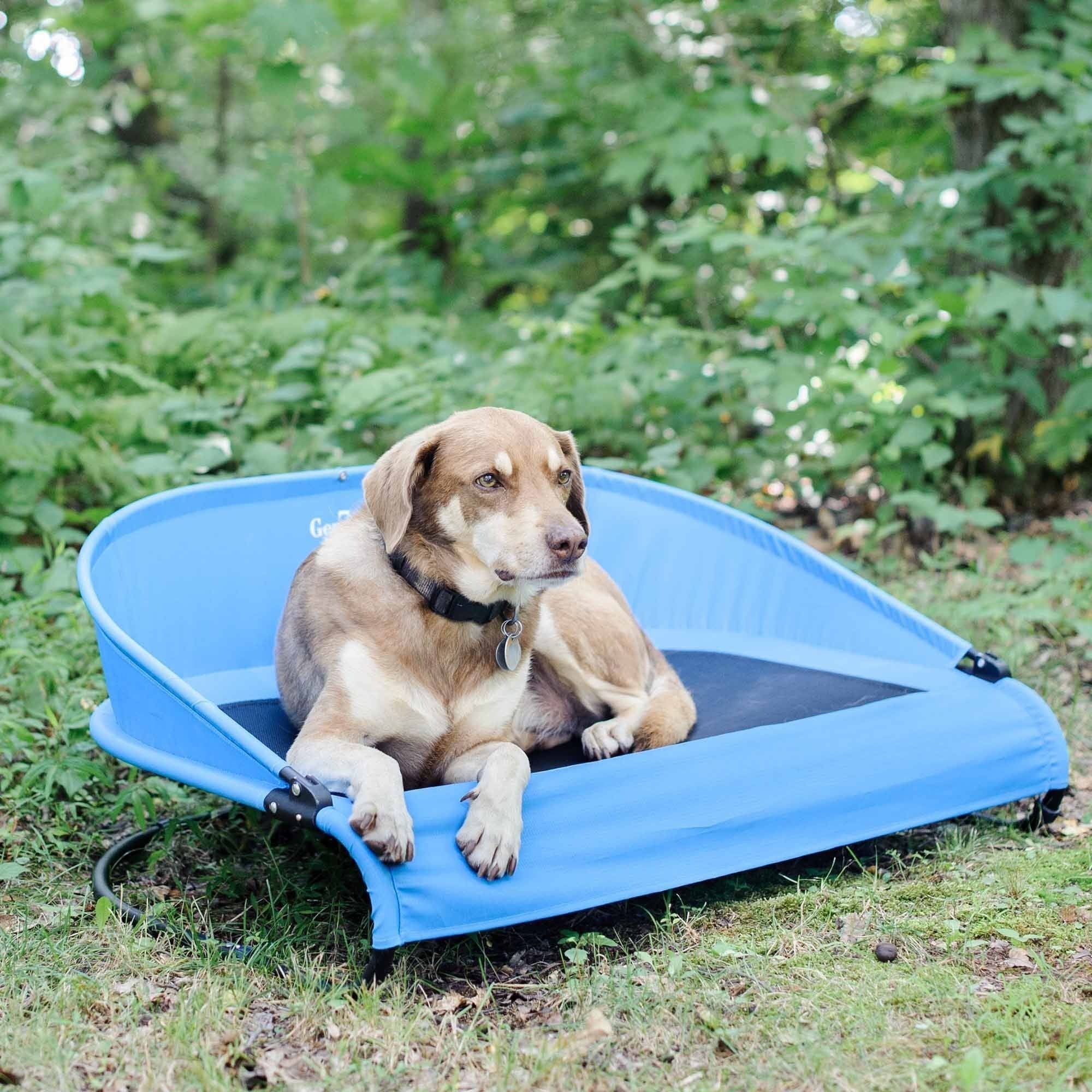 CoolAir Cot Pet Bed, Large, Trailblazer Blue