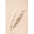 thumbnail image 2 of 1x Studio III 17x24 Black Ornate Wood Framed with Double Matting Museum Art Print Titled - Pampas Grass Begie 15, 2 of 4