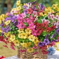 thumbnail image 4 of Flores artificiales Trytuny resistentes a los rayos UV para exteriores, paquete de 16, 4 of 7
