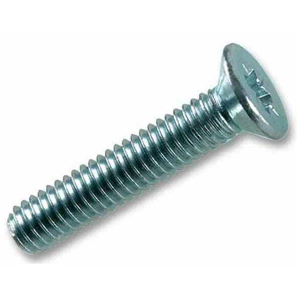 RARAION - Vis à Tête Fraisée M5 x 10mm Pozidriv ZP, 100 Pièces