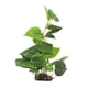 thumbnail image 1 of Plantas artificiales para acuarios, utilizadas para la decoración de acuarios.Plantas de acuario, 1 of 5