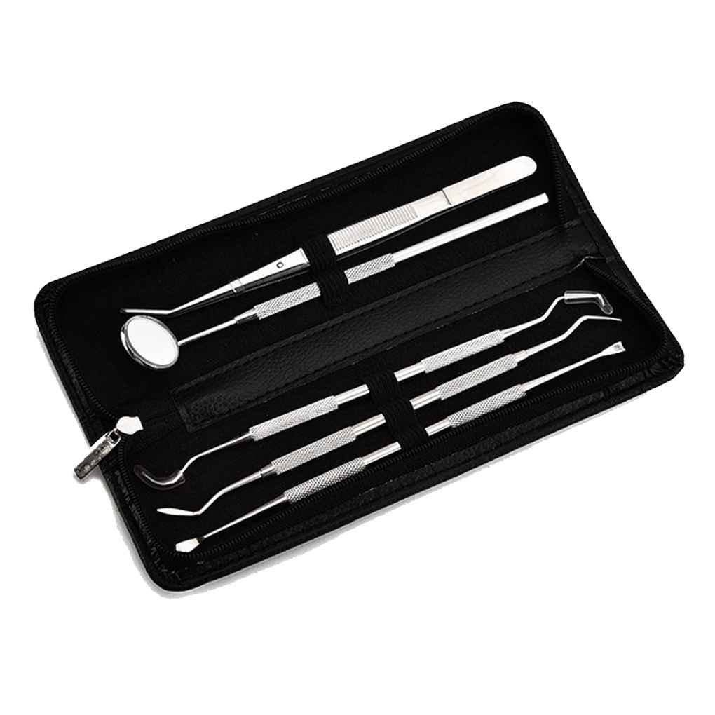 Dental Scaler Pick Deutsche Stahlwerkzeuge Mit Inspektionsspiegel Set 5