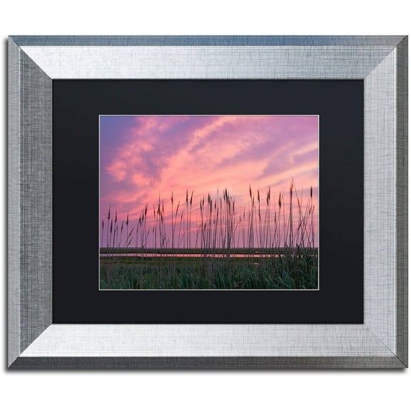Trademark Fine Art "Marsh Reeds" Canvas Art by Michael Blanchette Photography Black Matte, Silver Frame