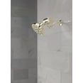 thumbnail image 5 of Delta 5SF100-PN Clarifi Premium Shower Filter Attachment For A Reduction In Chlorine And, 5 of 7