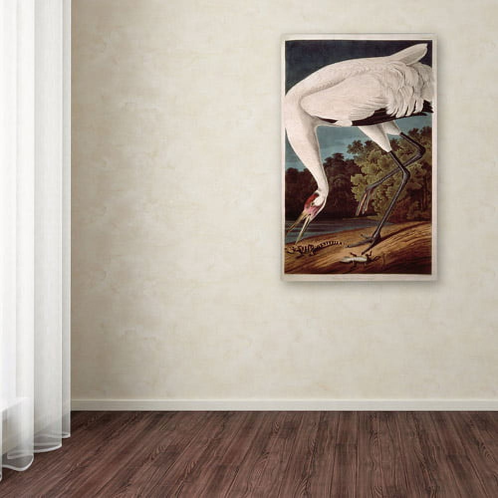 John James Audubon 'Whooping Crane' Canvas Art