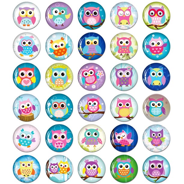 MORCART 30PCS Owl Fridge for Refrigerator Locker Cute