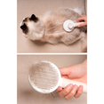 thumbnail image 4 of Cepillos Para El Cuidado De Mascotas Cepillo Autolimpiante Para Gatos Y Perros Cepillo Para El Pelo De Una Sola Tecla Peine Para El Polvo Para Mascotas Advancent PT002768-03, 4 of 6