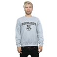 thumbnail image 2 of Harry Potter Mens Hogwarts Crest Sweatshirt, 2 of 3