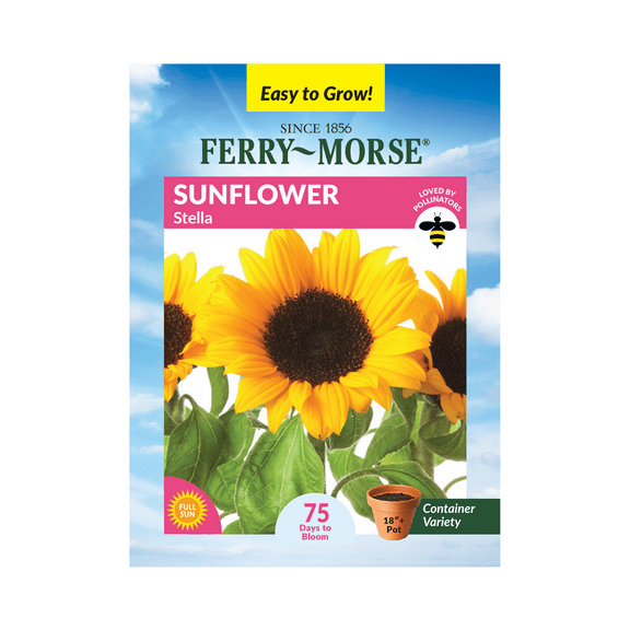 Ferry-Morse 800MG Sunflower Stella Annual Flower Seeds, Full Sun