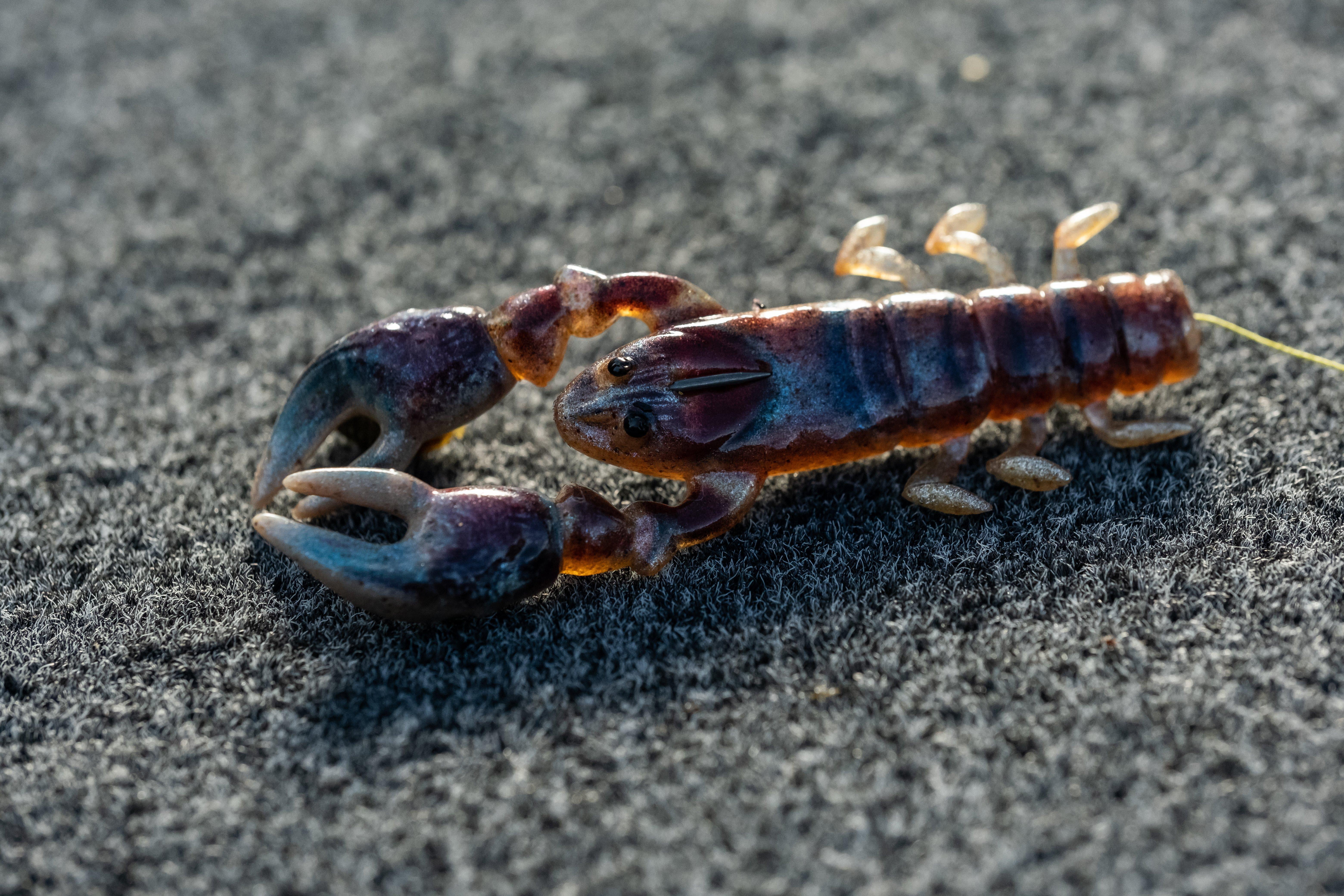 PowerBait® The Champ Craw