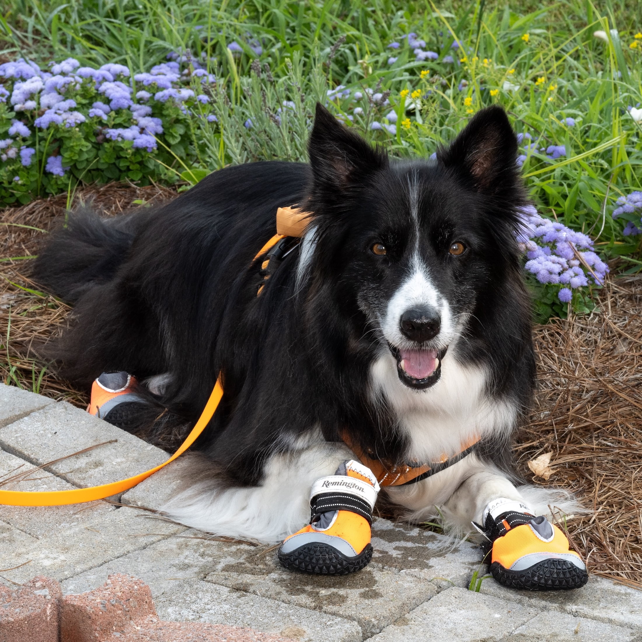 Remington Protective Pet Booties for Dogs, Orange, Size L, 4 Piece