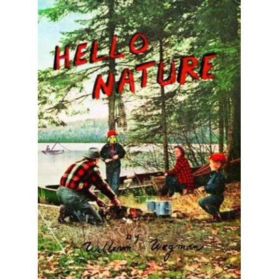 Pre-Owned Hello Nature : How to Draw, Paint, Cook, And Find Your Way