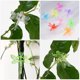 thumbnail image 4 of UPGRATOR 70Ud Clips Plásticos Para De Y Enredaderas Soporte Para Plantas Variadas, 4 of 7
