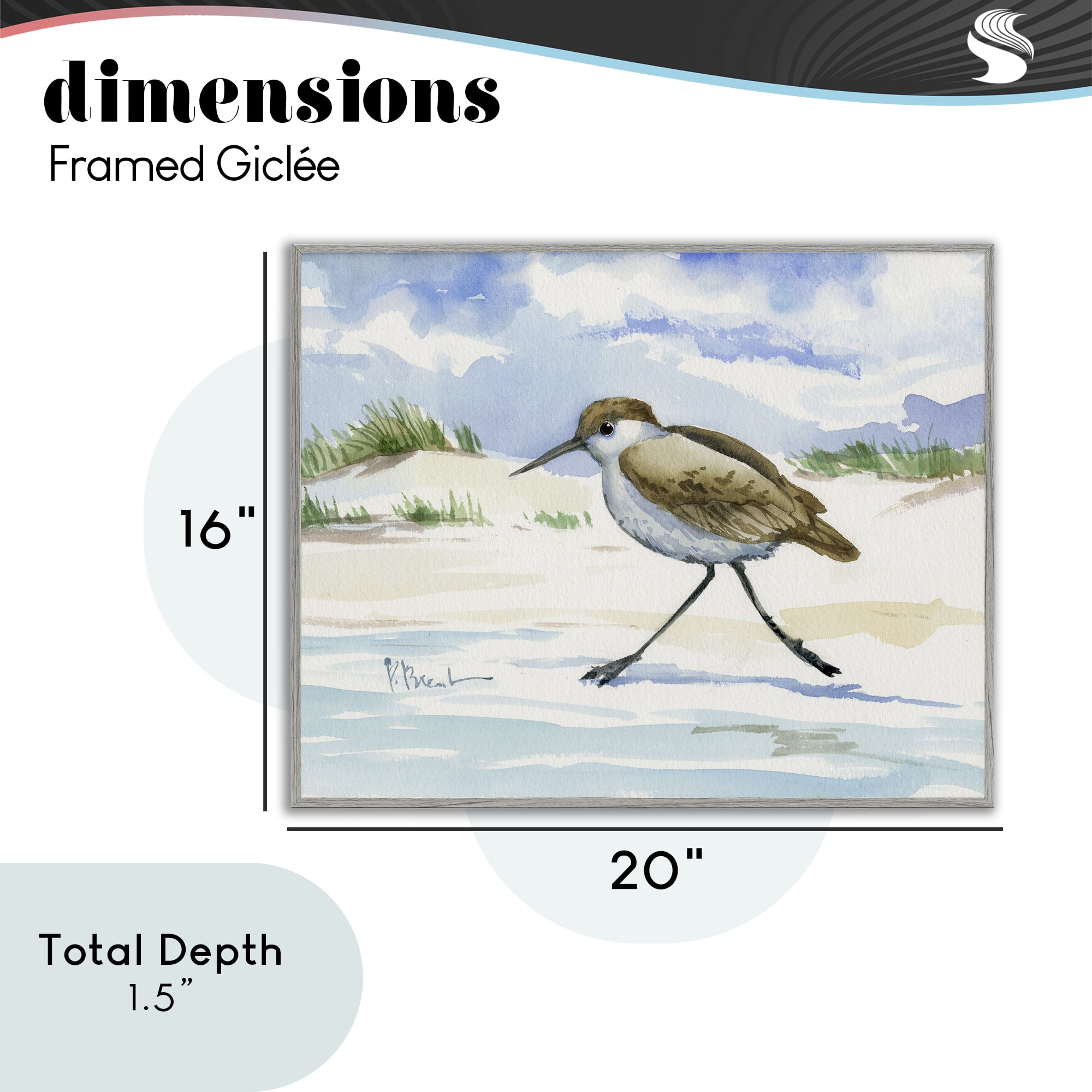 Stupell Industries Inlet Beach Sandpiper Running Gray Framed Giclee Art, design by Paul Brent