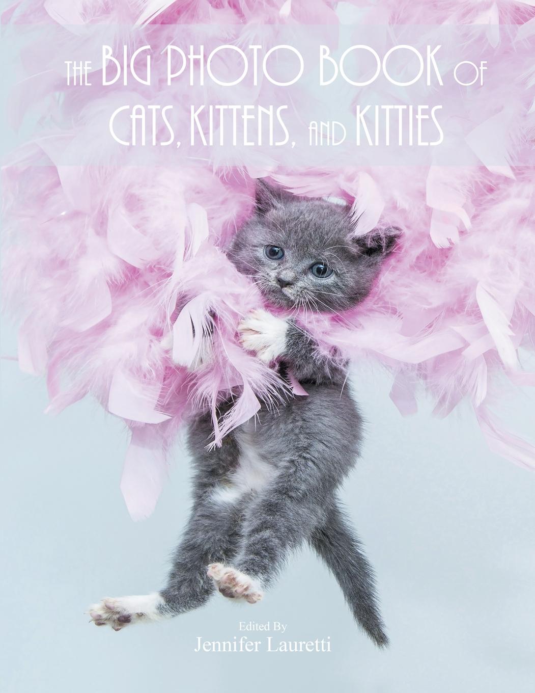 the-big-photo-book-of-cats-kittens-and-kitties-over-150-super-size