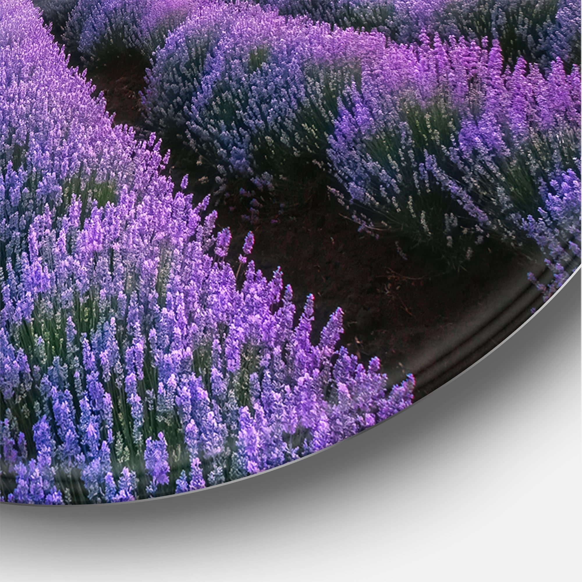 Designart 'Dramatic Clouds and Sunrise Over Lavender Field I' Farmhouse Circle Metal Wall Art 23x23 - Disc of 23