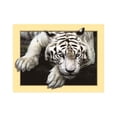 thumbnail image 1 of Animal Resina 5D DIY Diamante Pintura Bordado Punto de Cruz Imagen Decoración de la pared del hogar - L2005 Eigraketly JJ13343-01, 1 of 6