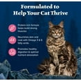 thumbnail image 5 of (2 pack) Blue Buffalo Wilderness Natural High Protein Dry Food for Adult Cats, Salmon, 9.5-lb Bag, 5 of 12