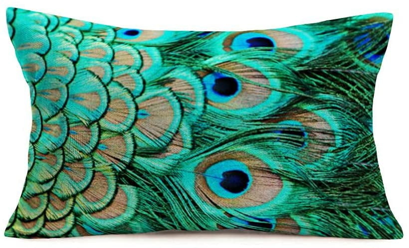 US SELLER 2pcs decorator throw pillow cover peacock retro cushion cover 