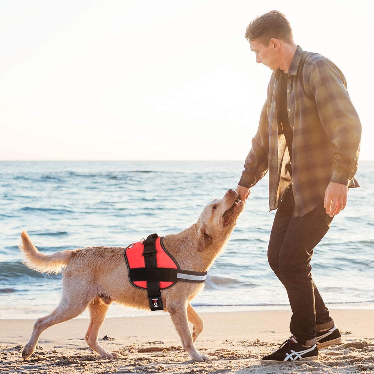 DogLine - Dog Harness, Reflective No-Pull Adjustable Pet Vest with Handle for Walking, Training, Service and Outdoors - Breathable No - Choke Room for Patches(Red: Girth 28" - 38")