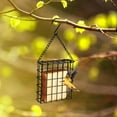 thumbnail image 7 of Pakyozj 2Pcs Outdoor Suet Cage Bird Feeder, Wild Bird Feeder, Single Suet Cake Capacity, Fruit and Suet Feeder Style for Outside Hanging, 7 of 7