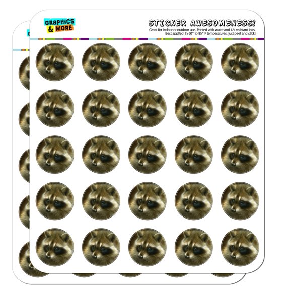 Raccoon Masked Bandit Planner Calendar Scrapbooking Crafting Stickers