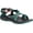 Punta Pine, variant on Chaco Z/Cloud 2 Adjustable Strap Cushioned Sandal Women