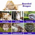 thumbnail image 4 of GHSDFBB Bearded Dragon Lizard Leash Harness,4 Size Pack Adjustable Small Animal Harness for Reptile and Small pet (Golden), 4 of 7