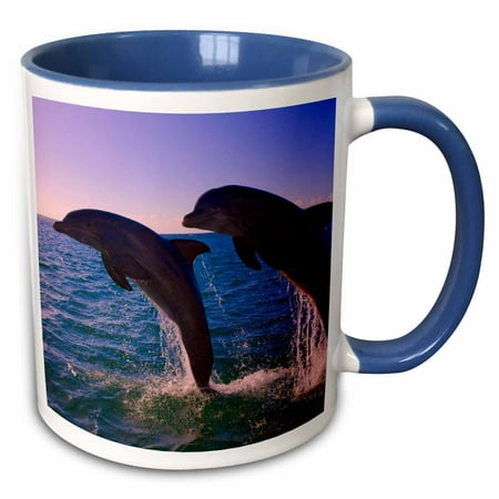 3dRose Dolphins leaping from sea, Roatan Island, Honduras - SA12 KSU0042 - Keren Su - Two Tone Blue Mug,