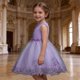 thumbnail image 5 of Vestido de Invitado de Boda Floral Azul Princesa Bordado con Perlas Vestido Formal de las Niñas con Falda de Línea a Vestido de Invitado de Boda Formal de Verano, 5 of 7