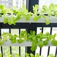 thumbnail image 3 of INTBUYING Hydroponic Site Grow Kit Wall Mounting Type 4 Pipe 36 Plant Site Garden Plant Growing System, 3 of 5