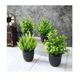 thumbnail image 3 of 4 Macetas Plantas Artificiales Macetas Decorativas Bonsai  base Malubero Negro, 3 of 5