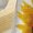 Yellow, variant on Fashion Clothing Custom T-Shirts Casual Shirts For Women