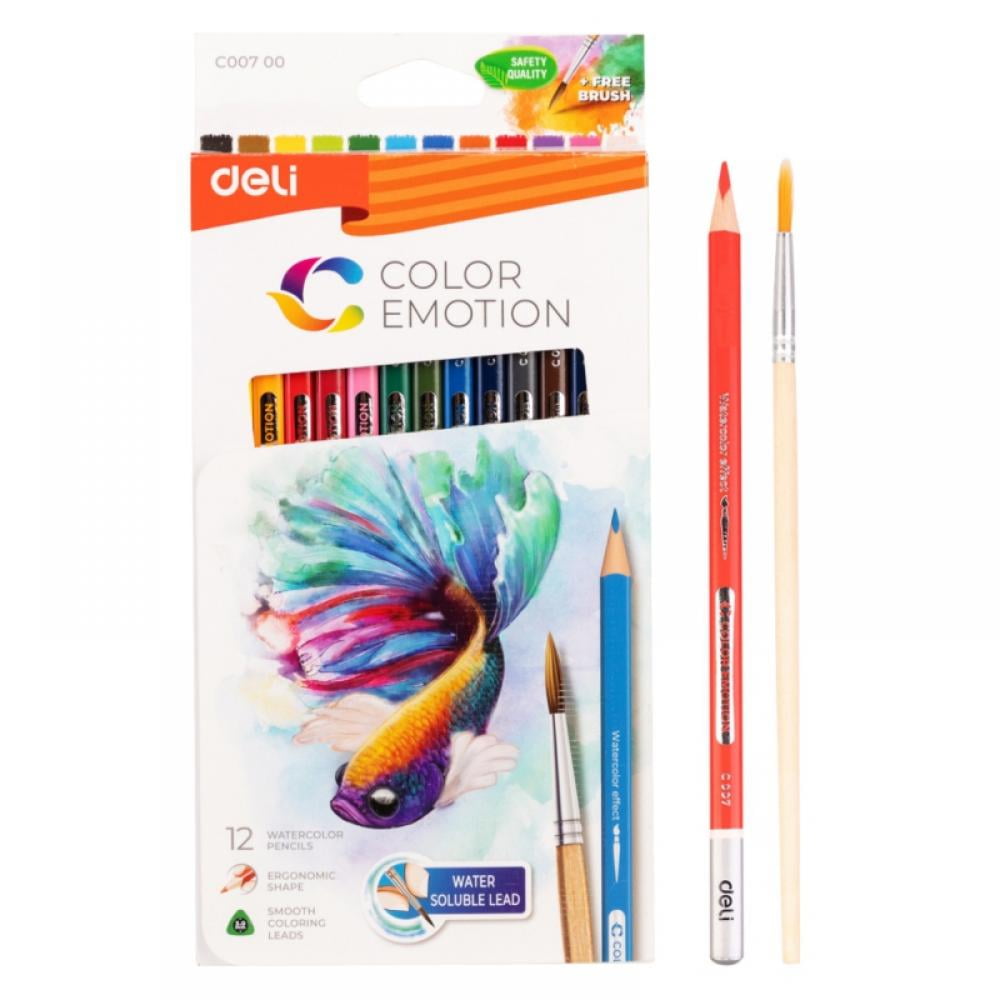 Shading kids and Coloring Book Professional Colored Pencils for Adults Sketching 48 Watercolor Pencils by Cyper Top Artist Drawing Pencils with a Water Color Brush for Blending Shading kids and Coloring Book Professional Colored Pencils for Adults Sketching 48 Watercolor Pencils by Cyper Top Artist Drawing Pencils with a Water Color Brush for Blending