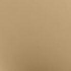 Cream Beige