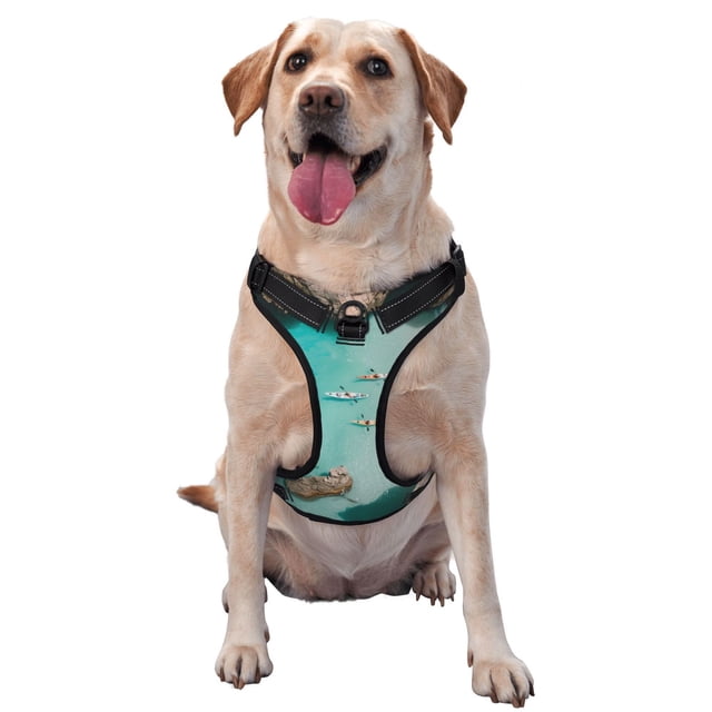 Cauagu Turquoise Beach Kayaking Pattern Reflective Dog Harness, No-Pull Adjustable Dog Vest Pet Walking Vest No-Choke Pet Vest for Small, Medium & Large Dogs -Large