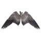 thumbnail image 1 of Bird Wing For Adults Costume Burningman Festival Adult Japanese Game Onmyoji Cosplay Tengu Bird Carnival Costume Large Big Wings, 1 of 3