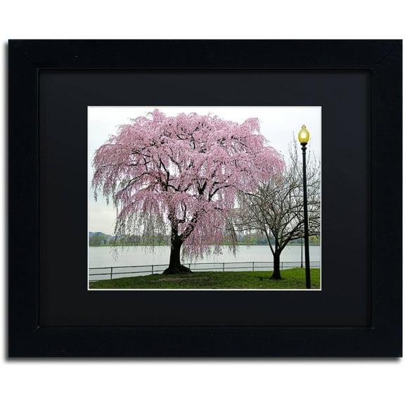 Trademark Fine Art "Cherry Tree" Canvas Art by CATeyes, Black Matte, Black Frame