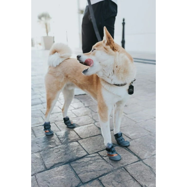 Walmart dog shoes cheap