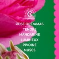 thumbnail image 3 of Fragancia sólida ROGER & GALLET Rose 5g, 3 of 7