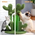 thumbnail image 6 of Cat Scratching Post Cactus Cat Scratcher Featuring with 3 Scratching Poles and Dangling Ball-Medium 23 Inches, 6 of 13