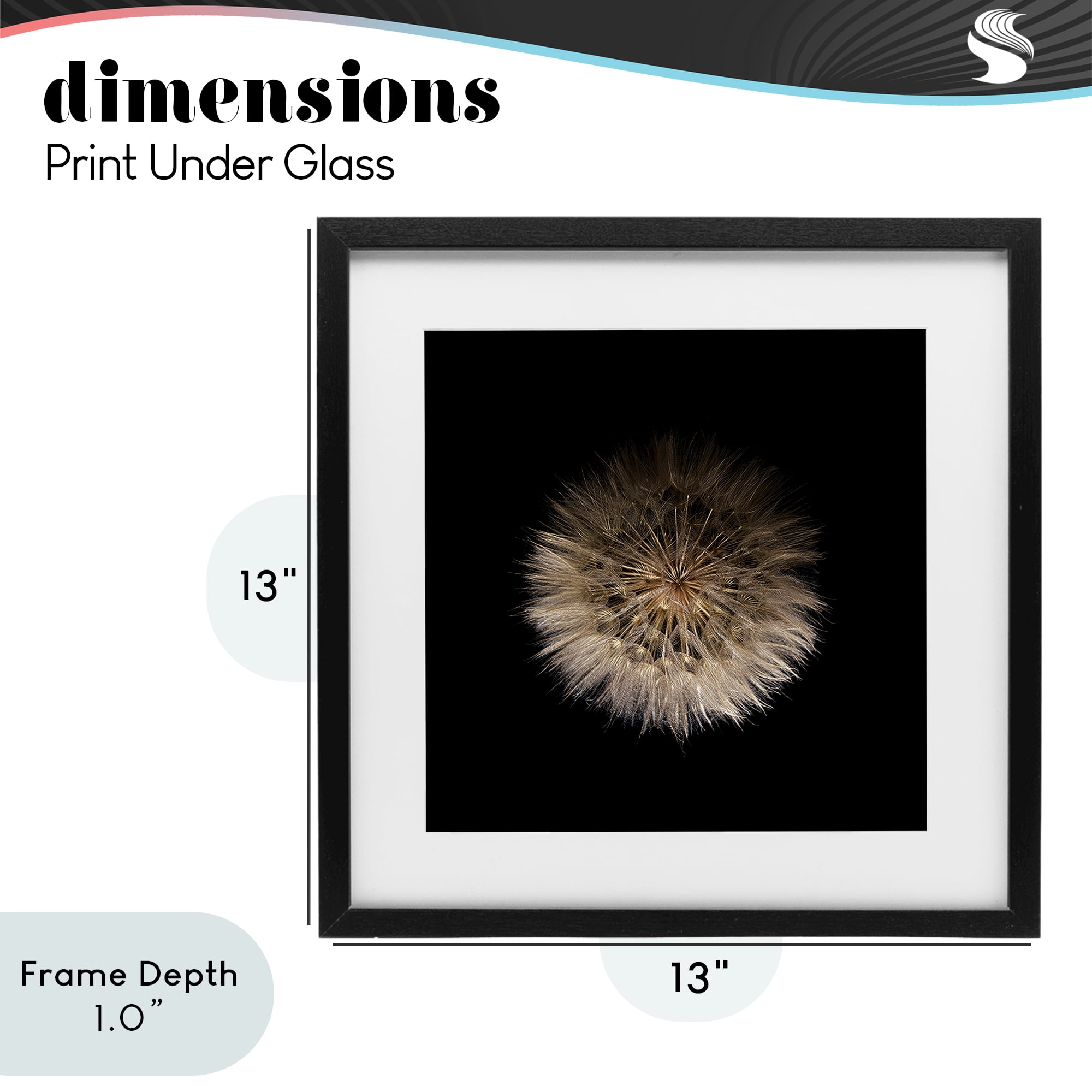 Stupell Industries Wispy Dandelion on Black Black Framed Print Under Glass, design by Beth Adoette