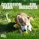 thumbnail image 5 of Pelota para Perros de Caucho ELEMENT RESOURCES Pack 2 Pz amarilla, 5 of 6