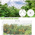 thumbnail image 6 of 33 x 50 ft Garden Netting with 2 in Square Mesh, Reusable Bird Netting for Chicken wire Coop, FifthQuarter Nylon Poultry Net Deer Fence for Protecting Vegetables Fruit Tree from Birds Squirrel, Black, 6 of 9