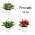 thumbnail image 5 of Succulent flower pot set of 3 modern flower POTS indoor cactus herb or small plant home decor gift ideas, 5 of 5